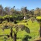 Volcano Acres Ranch B&B - map