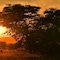 Ohange Namibia Lodge - map