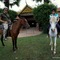 Mekong Angkor Deluxe Hotel - map
