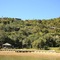 Punga Cove Resort - map