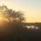 Bushwise Safari lodge Kruger Park - map