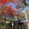 Yasuragino Bettei Shikitei - map