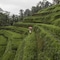 The Westin Resort & Spa Ubud, Bali - map