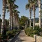 Ikaros Beach Resort & Spa - map