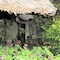 Parrot Lodge - map