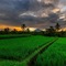 Kawi Resort A Spiritual Sanctuary To Escape - map