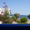 Hotel Eleni Beach - map