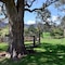 The Laurels B&B Kangaroo Valley - map