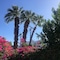 Inn At Palm Springs - map