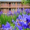 Holiday Inn Club Vacations Oak N’ Spruce Resort In The Berkshires By Ihg - map