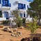 Aegean Star Hotel Apartments - map
