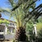 Les Jardins De Bormes, Adult-Only Hotel With Sauna & Jacuzzi - map