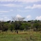 Mbalageti Serengeti - map