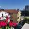 Apartments Tamara - map