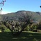 Paarl Nuwerus Lodge - map