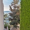 Villa Dalmatia - map