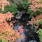 Yumoto Chouza - map
