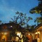 Ubud Tropical - map