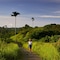 Element By Westin Bali Ubud - map