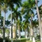 Conch Shell Studio At Sandcastles - map