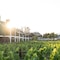 Four Seasons Resort And Residences Napa Valley - map