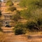 Rhino Walking Safaris - map