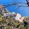Hotel Grazia Alla Scannella - map