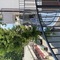 Noah Beach Hotel - map