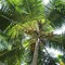 Lime Cabanas Sri Lanka - map