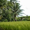 Hideaway Villas Bali – Ubud By Kanaan Hospitality - map