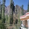 Hotel Nubra Residency Nubra - map