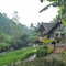 Keuma Villa & Resto Jatiluwih by The Lavana - map
