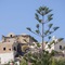 Paradise Resort Santorini - map