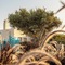 Nilea Island Living - map