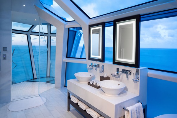 Immagine Celebrity Reflection 15