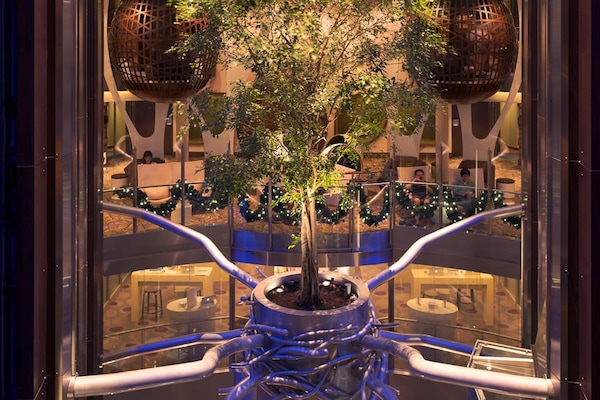 Immagine Celebrity Reflection 25