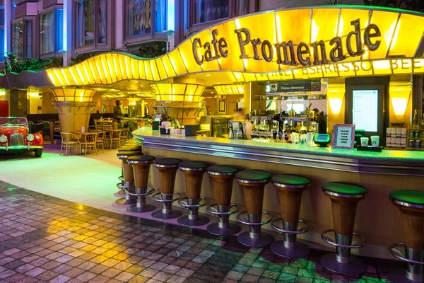 Immagine Navigator of the Seas 18
