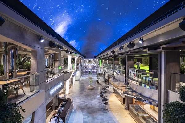 Immagine MSC Bellissima 43
