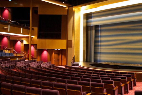Immagine Ovation of the Seas 17