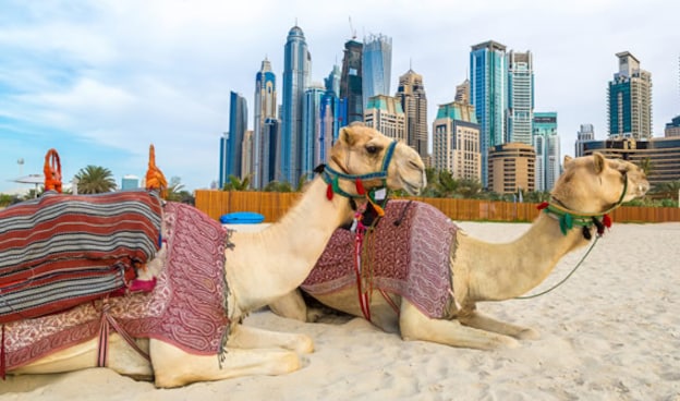 Dubai: Scopri l'impossibile