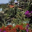 Hotel Parque Tropical