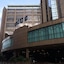 The International Hotel