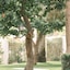 Palm Mountain Resort And Spa