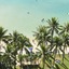 Park Shore Waikiki