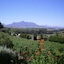 The Devon Valley Hotel