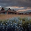 Hotel Rangá