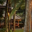 The Ubud Village Resort & Spa