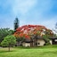 Sabi River Sun Resort