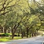 The Westin Hilton Head Island Resort & Spa