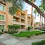 Desert Rose Resort